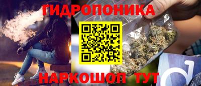 прущие грибы Нарткала