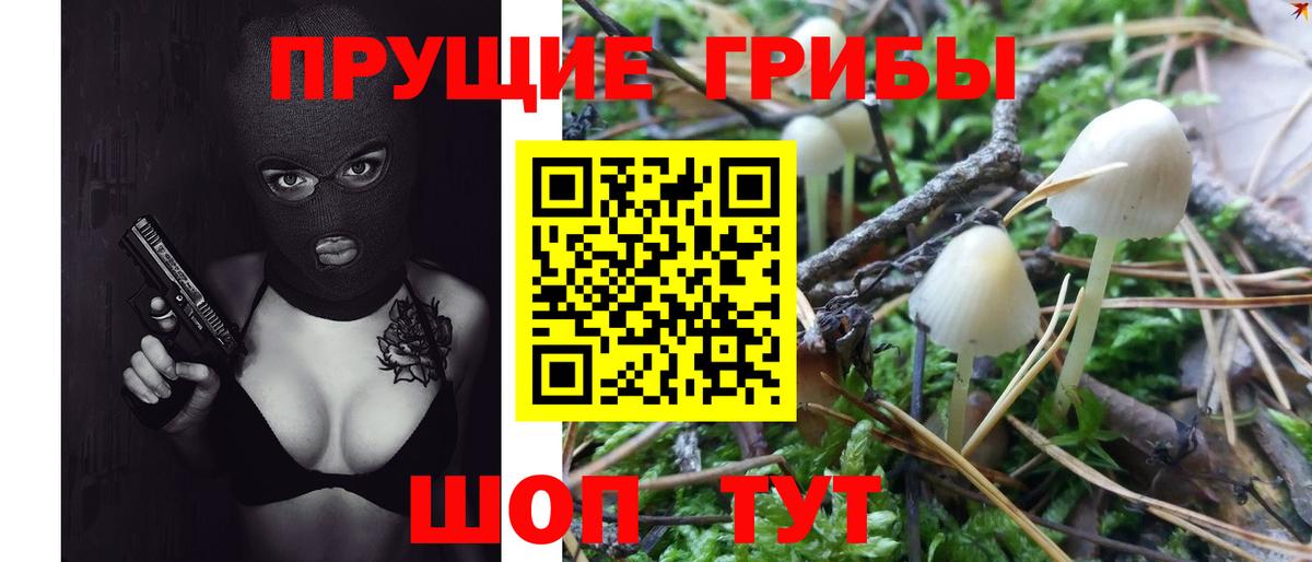 Псилоцибиновые грибы Cubensis  Вход с VPN  Галлюциногенные грибы Psilocybe  Похвистнево 